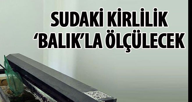 Sudaki kirlilik 'balık'la ölçülecek