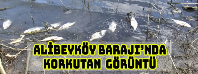ALİBEYKÖY BARAJI’NDA KORKUTAN  GÖRÜNTÜ