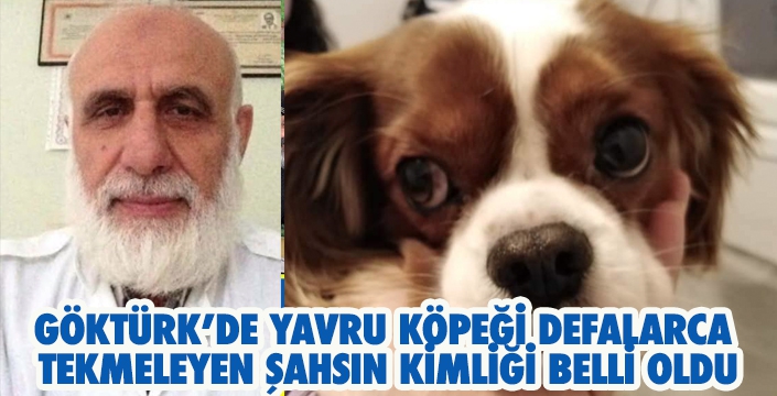 GÖKTÜRK’DE YAVRU KÖPEĞİ TEKMELEYEN ŞAHSIN KİMLİĞİ BELLİ OLDU
